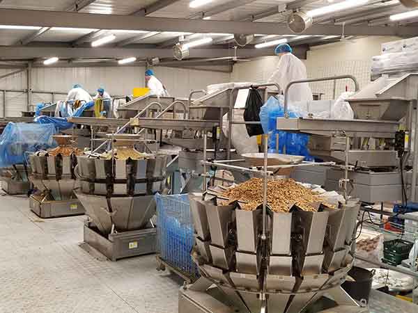 全自动榴莲视频黄版APP网站下载智能化联动生产