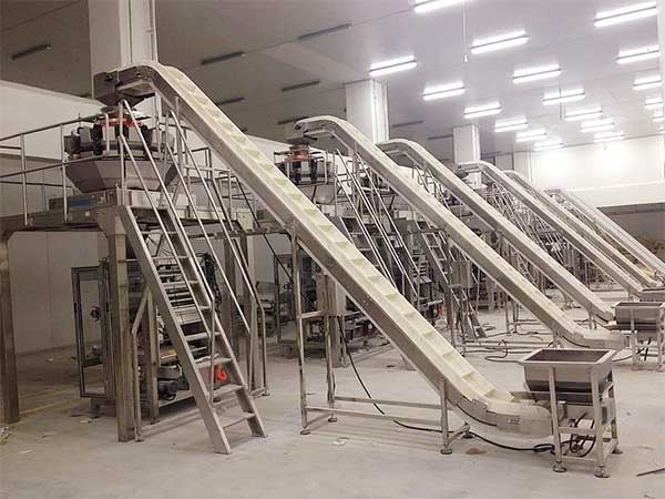智能化全自动速冻食品榴莲视频黄版APP网站下载提升企业生产效率