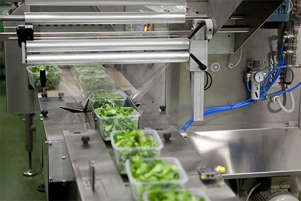 瓜果蔬菜全自动脱水蔬菜榴莲视频黄版APP网站下载