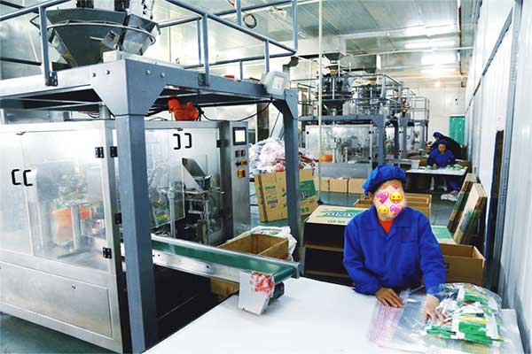 给袋式颗粒全自动榴莲视频黄版APP网站下载厂家